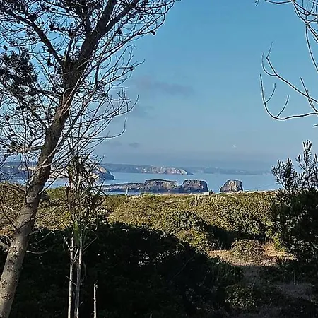 Cosy In Sagres, 42 Sqm With Garden View Sagres